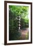 Path of Meditation-George Oze-Framed Photographic Print