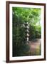 Path of Meditation-George Oze-Framed Photographic Print