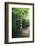 Path of Meditation-George Oze-Framed Photographic Print