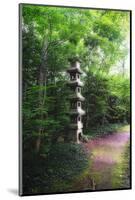 Path of Meditation-George Oze-Mounted Photographic Print
