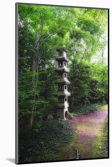 Path of Meditation-George Oze-Mounted Photographic Print