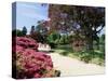 Path on Bank of Ten Foot Pond, Sheffield Park Garden, East Sussex, England, United Kingdom-Ruth Tomlinson-Stretched Canvas