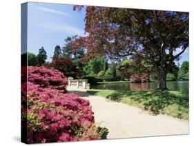 Path on Bank of Ten Foot Pond, Sheffield Park Garden, East Sussex, England, United Kingdom-Ruth Tomlinson-Stretched Canvas