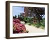 Path on Bank of Ten Foot Pond, Sheffield Park Garden, East Sussex, England, United Kingdom-Ruth Tomlinson-Framed Photographic Print