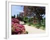 Path on Bank of Ten Foot Pond, Sheffield Park Garden, East Sussex, England, United Kingdom-Ruth Tomlinson-Framed Photographic Print