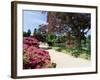 Path on Bank of Ten Foot Pond, Sheffield Park Garden, East Sussex, England, United Kingdom-Ruth Tomlinson-Framed Photographic Print