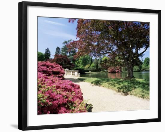 Path on Bank of Ten Foot Pond, Sheffield Park Garden, East Sussex, England, United Kingdom-Ruth Tomlinson-Framed Photographic Print