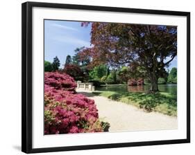 Path on Bank of Ten Foot Pond, Sheffield Park Garden, East Sussex, England, United Kingdom-Ruth Tomlinson-Framed Photographic Print