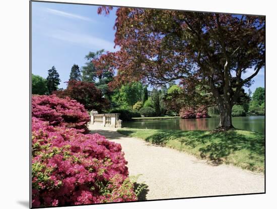 Path on Bank of Ten Foot Pond, Sheffield Park Garden, East Sussex, England, United Kingdom-Ruth Tomlinson-Mounted Photographic Print