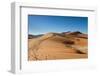 Path on the Sand Dune-Circumnavigation-Framed Photographic Print