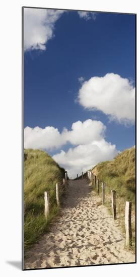 Path Through a Dune, Sylt, Schleswig-Holstein, Germany-null-Mounted Photographic Print