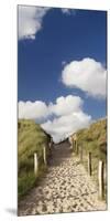 Path Through a Dune, Sylt, Schleswig-Holstein, Germany-null-Mounted Photographic Print