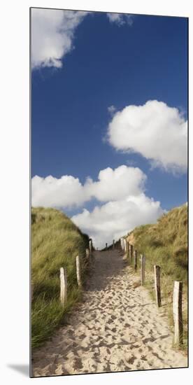 Path Through a Dune, Sylt, Schleswig-Holstein, Germany-null-Mounted Photographic Print