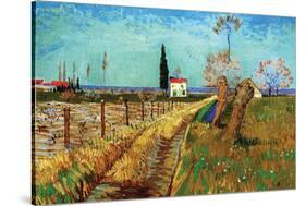 Path Through a Field with Willows-Vincent van Gogh-Stretched Canvas