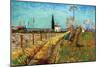 Path Through a Field with Willows-Vincent van Gogh-Mounted Art Print