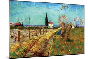 Path Through a Field with Willows-Vincent van Gogh-Mounted Art Print