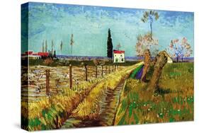 Path Through a Field with Willows-Vincent van Gogh-Stretched Canvas