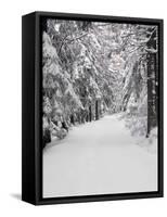Path Through a Forest in Winter-Marcus Lange-Framed Stretched Canvas