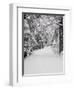 Path Through a Forest in Winter-Marcus Lange-Framed Premium Photographic Print