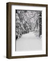 Path Through a Forest in Winter-Marcus Lange-Framed Photographic Print