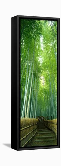 Path Through Bamboo Forest Kyoto Japan-null-Framed Stretched Canvas