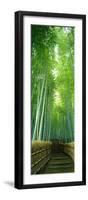 Path Through Bamboo Forest Kyoto Japan-null-Framed Premium Photographic Print