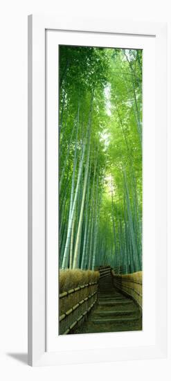 Path Through Bamboo Forest Kyoto Japan-null-Framed Photographic Print