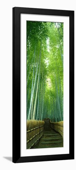 Path Through Bamboo Forest Kyoto Japan-null-Framed Photographic Print