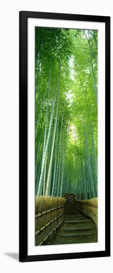 Path Through Bamboo Forest Kyoto Japan-null-Framed Photographic Print