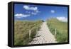 Path Through Dunes, Sylt Islands, North Frisian Islands, Schleswig Holstein, Germany, Europe-Markus Lange-Framed Stretched Canvas