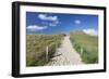 Path Through Dunes, Sylt Islands, North Frisian Islands, Schleswig Holstein, Germany, Europe-Markus Lange-Framed Photographic Print