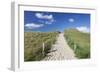 Path Through Dunes, Sylt Islands, North Frisian Islands, Schleswig Holstein, Germany, Europe-Markus Lange-Framed Photographic Print