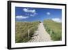 Path Through Dunes, Sylt Islands, North Frisian Islands, Schleswig Holstein, Germany, Europe-Markus Lange-Framed Photographic Print