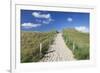 Path Through Dunes, Sylt Islands, North Frisian Islands, Schleswig Holstein, Germany, Europe-Markus Lange-Framed Photographic Print