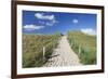 Path Through Dunes, Sylt Islands, North Frisian Islands, Schleswig Holstein, Germany, Europe-Markus Lange-Framed Photographic Print