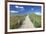 Path Through Dunes, Sylt Islands, North Frisian Islands, Schleswig Holstein, Germany, Europe-Markus Lange-Framed Photographic Print