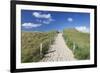 Path Through Dunes, Sylt Islands, North Frisian Islands, Schleswig Holstein, Germany, Europe-Markus Lange-Framed Photographic Print