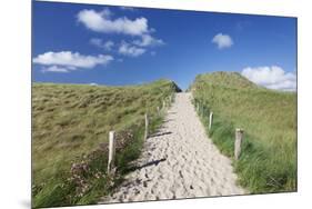Path Through Dunes, Sylt Islands, North Frisian Islands, Schleswig Holstein, Germany, Europe-Markus Lange-Mounted Photographic Print