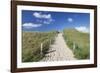 Path Through Dunes, Sylt Islands, North Frisian Islands, Schleswig Holstein, Germany, Europe-Markus Lange-Framed Premium Photographic Print