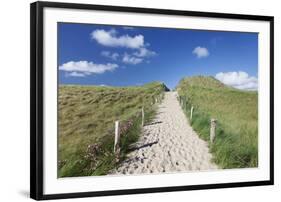 Path Through Dunes, Sylt Islands, North Frisian Islands, Schleswig Holstein, Germany, Europe-Markus Lange-Framed Premium Photographic Print