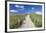 Path Through Dunes, Sylt Islands, North Frisian Islands, Schleswig Holstein, Germany, Europe-Markus Lange-Framed Premium Photographic Print