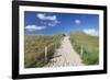 Path Through Dunes, Sylt Islands, North Frisian Islands, Schleswig Holstein, Germany, Europe-Markus Lange-Framed Premium Photographic Print