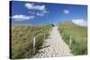 Path Through Dunes, Sylt Islands, North Frisian Islands, Schleswig Holstein, Germany, Europe-Markus Lange-Stretched Canvas