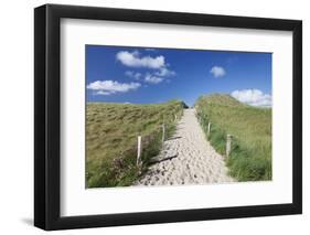 Path Through Dunes, Sylt Islands, North Frisian Islands, Schleswig Holstein, Germany, Europe-Markus Lange-Framed Photographic Print