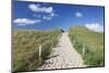 Path Through Dunes, Sylt Islands, North Frisian Islands, Schleswig Holstein, Germany, Europe-Markus Lange-Mounted Photographic Print