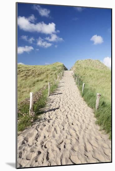 Path Through Dunes, Sylt, North Frisian Islands, Nordfriesland, Schleswig Holstein, Germany, Europe-Markus Lange-Mounted Photographic Print