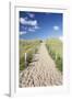 Path Through Dunes, Sylt, North Frisian Islands, Nordfriesland, Schleswig Holstein, Germany, Europe-Markus Lange-Framed Photographic Print