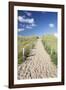 Path Through Dunes, Sylt, North Frisian Islands, Nordfriesland, Schleswig Holstein, Germany, Europe-Markus Lange-Framed Photographic Print