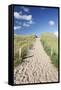 Path Through Dunes, Sylt, North Frisian Islands, Nordfriesland, Schleswig Holstein, Germany, Europe-Markus Lange-Framed Stretched Canvas