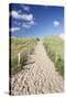 Path Through Dunes, Sylt, North Frisian Islands, Nordfriesland, Schleswig Holstein, Germany, Europe-Markus Lange-Stretched Canvas